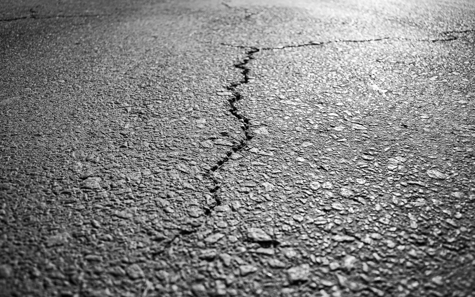 A crack running through old asphalt