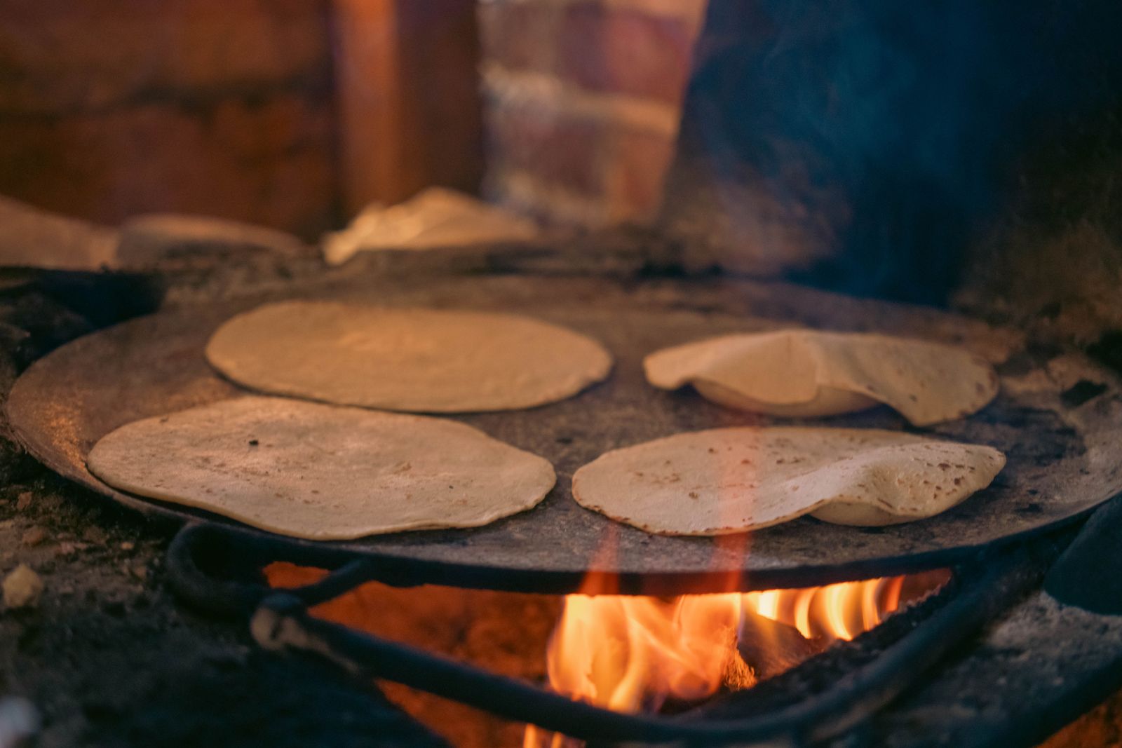 Hongos
