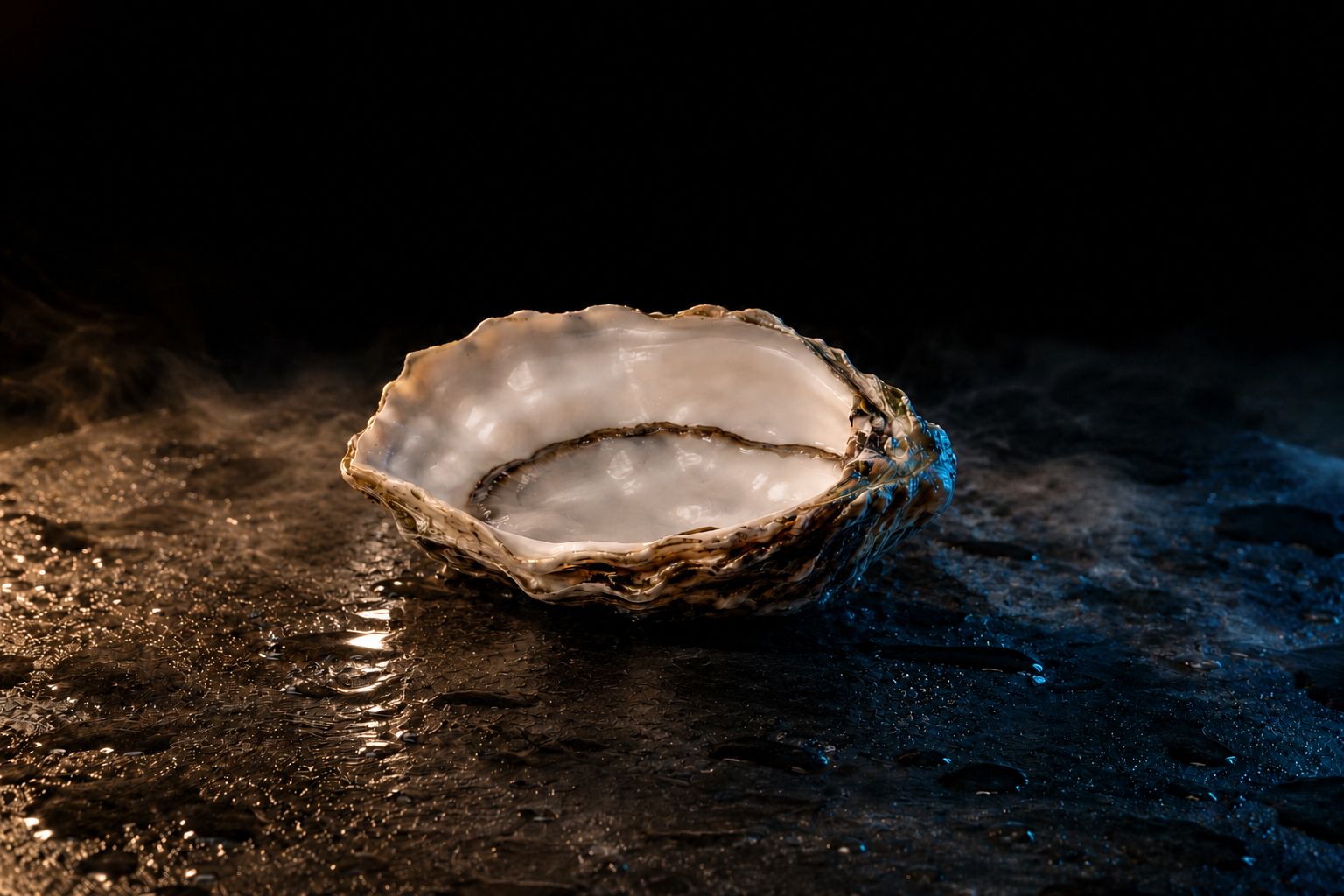 The same shell, empty and wet, the oyster eaten